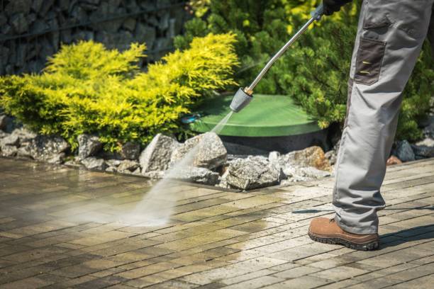Best Spring Cleaning  in Fanning Springs, FL